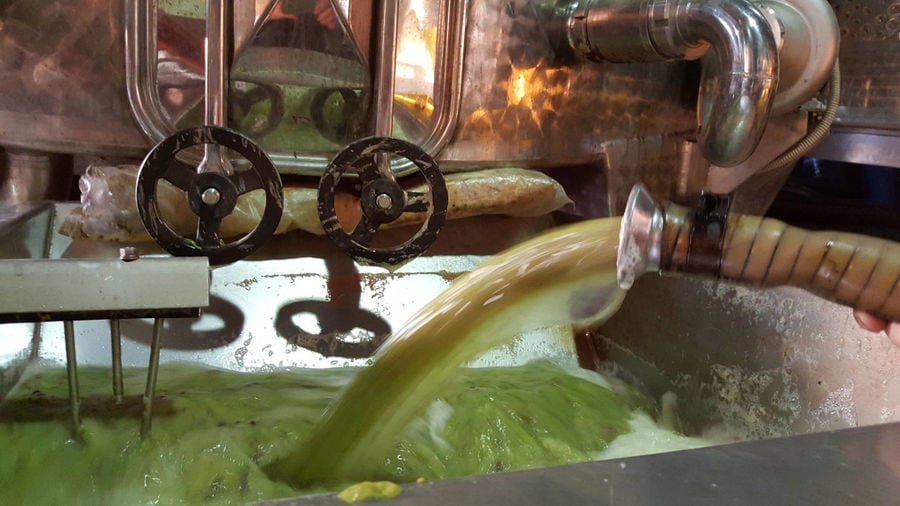 white wine 'must' flowed from hydraulic pump at 'Manolesakis Estate' facilities